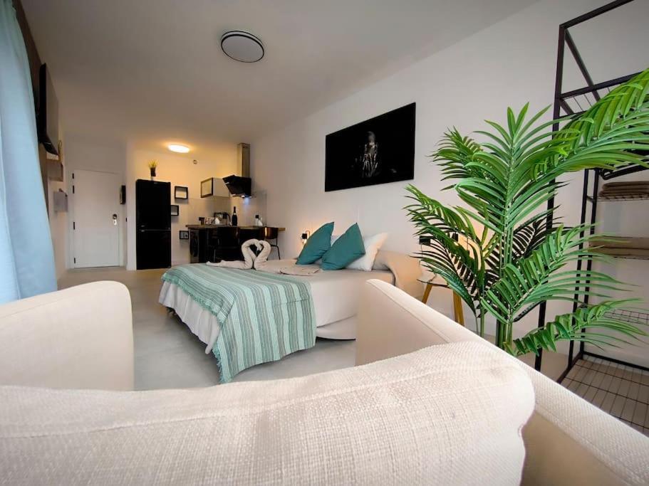 Bimba Studio Park Santa Úrsula Dış mekan fotoğraf