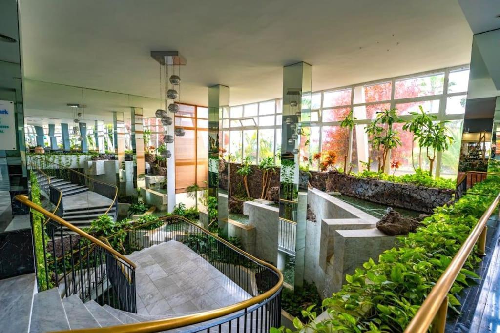 Bimba Studio Park Santa Úrsula Dış mekan fotoğraf